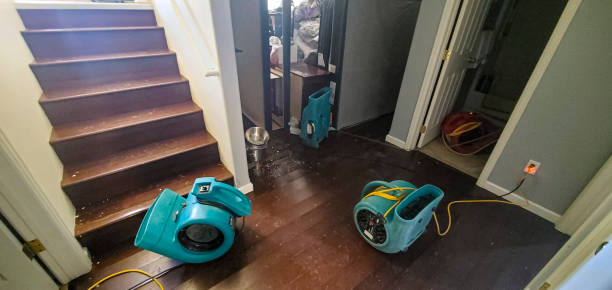 Best Fire Damage Restoration  in Haverhill, FL