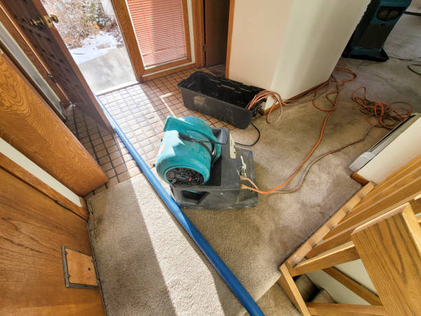 Best 24-hour water damage restoration  in Haverhill, FL