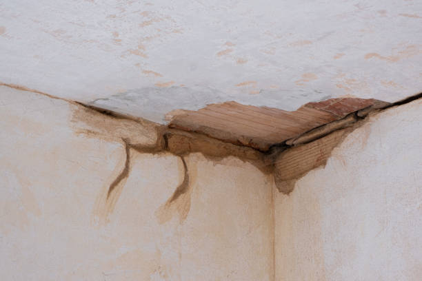 Best Ceiling water damage repair  in Haverhill, FL