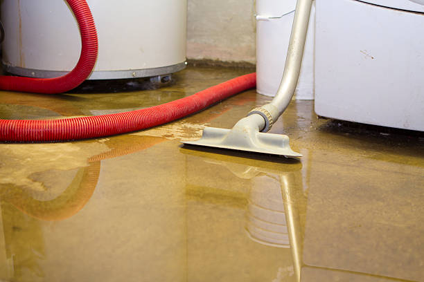 Best Residential water damage restoration  in Haverhill, FL