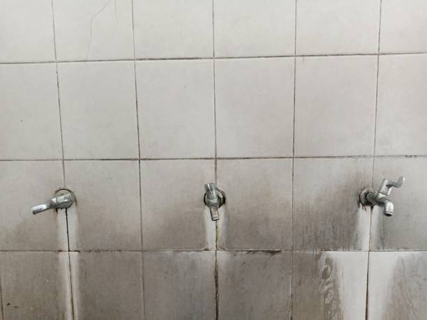 Best Sewage cleanup and water damage restoration  in Haverhill, FL