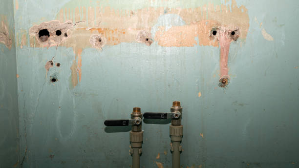 Best Emergency water damage restoration  in Haverhill, FL