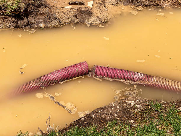 Best Water damage restoration near me  in Haverhill, FL