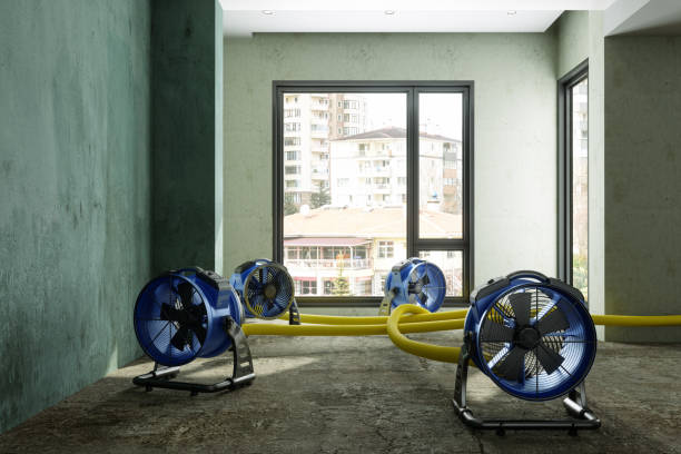 Best Local water damage restoration  in Haverhill, FL